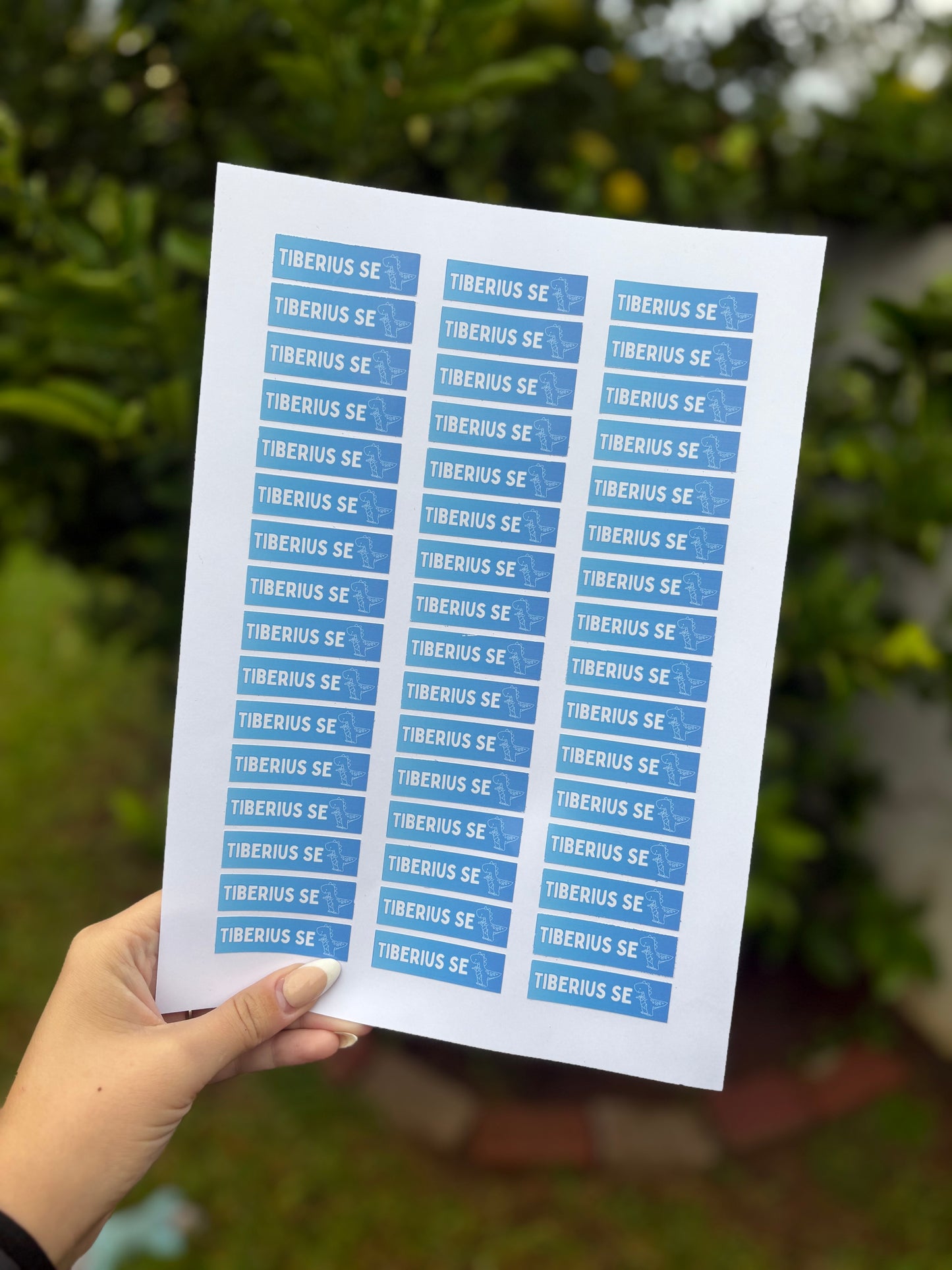 A4 Vinyl sticker sheet